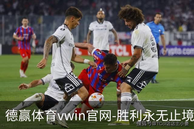 德赢体育vwin官网-胜利永无止境公司简介